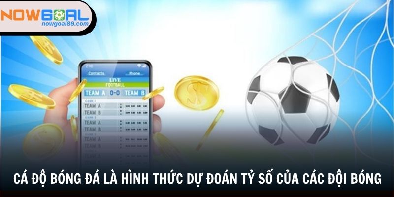 Cá Độ Bóng Đá - Cẩm Nang Cần Biết Trước Khi Đầu Tư 1 Cá độ bóng đá là hình thức dự đoán tỷ số của các đội bóng