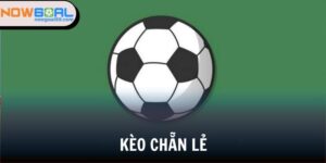 kèo chẵn lẻ