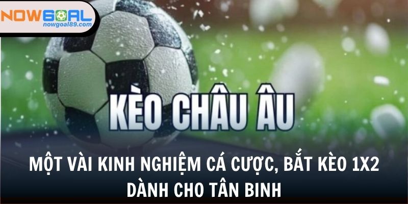 Kèo Châu Âu - Bắt Kèo Đỉnh Cao Cùng Chuyên Gia 3 Một vài kinh nghiệm cá cược, bắt kèo 1x2 dành cho tân binh