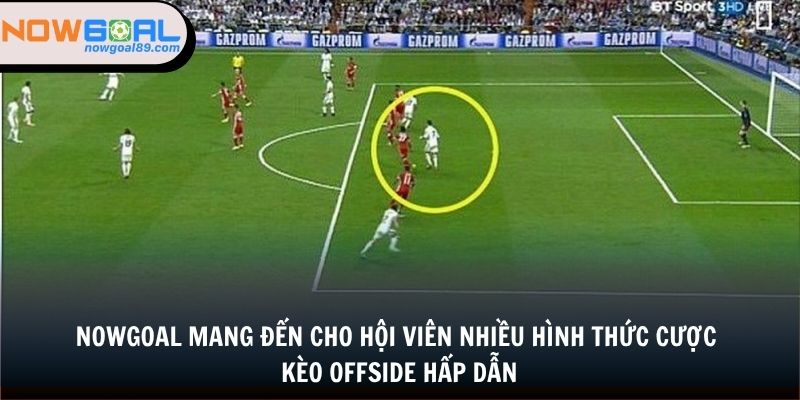 Nowgoal mang đến cho hội viên nhiều hình thức cược kèo offside hấp dẫn