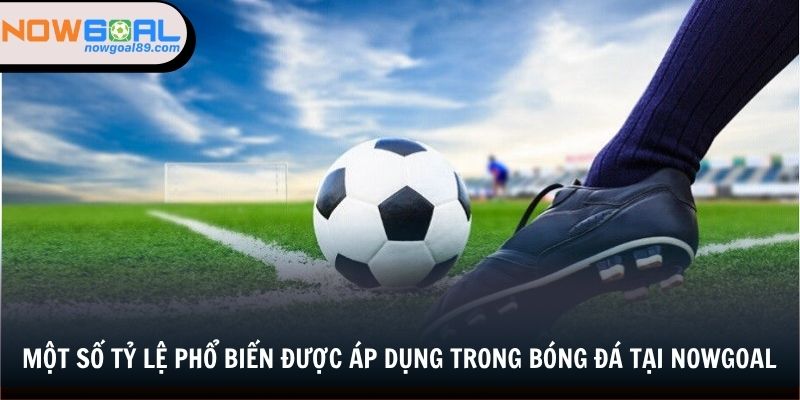 Odds đóng vai trò quan trọng khi hội viên tham gia cá cược