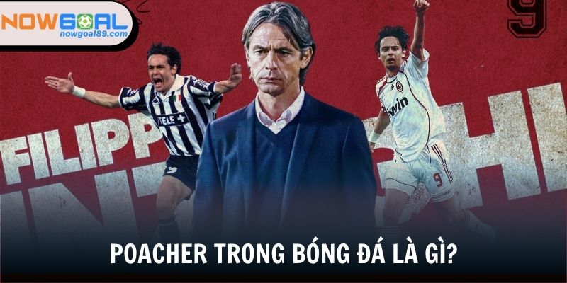 Poacher Trong Bóng Đá - Tìm Hiểu Về Những Sát Thủ Vòng Cấm 1 Định nghĩa về thuật ngữ poacher trong bóng đá