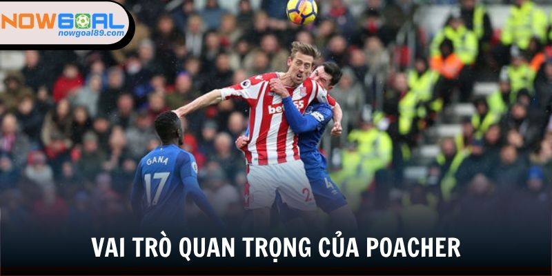 Poacher Trong Bóng Đá - Tìm Hiểu Về Những Sát Thủ Vòng Cấm 2 Tầm quan trọng của các Kẻ săn mồi trong bóng đá